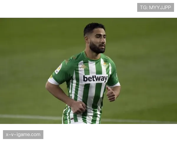 黄潜阵容深度解析：表现稳健，新赛季前景可期