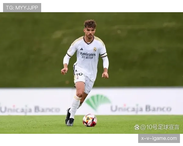 劳尔技术全面性